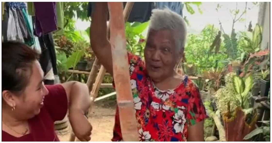 Lola na labis na natuwa sa natanggap na money cake, umantig sa puso ng netizens Lola na labis na natuwa sa natanggap na money cake, umantig sa puso ng netizens