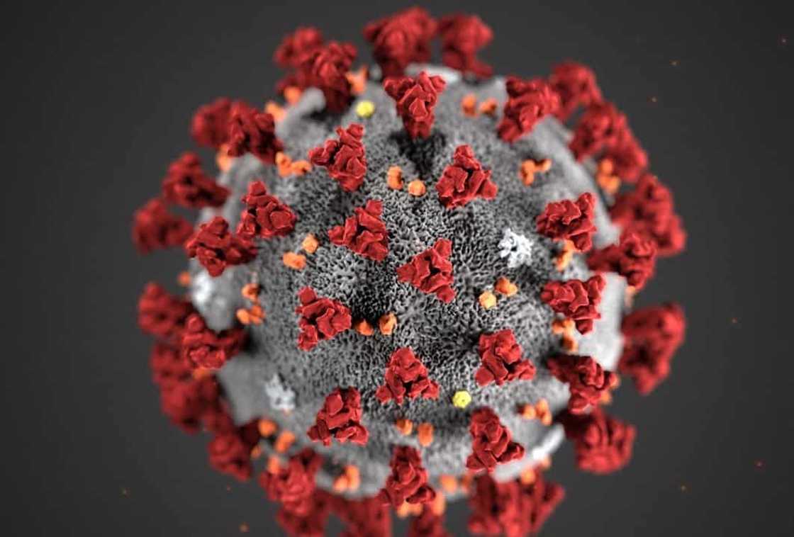 COVID-19 patients no longer infectious after 11 days, says study COVID-19 patients no longer infectious after 11 days, says study