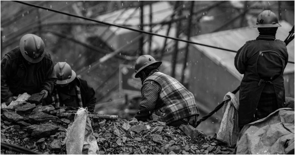 Neneqo Fotógrafo on Pexels Neneqo Fotógrafo on Pexels