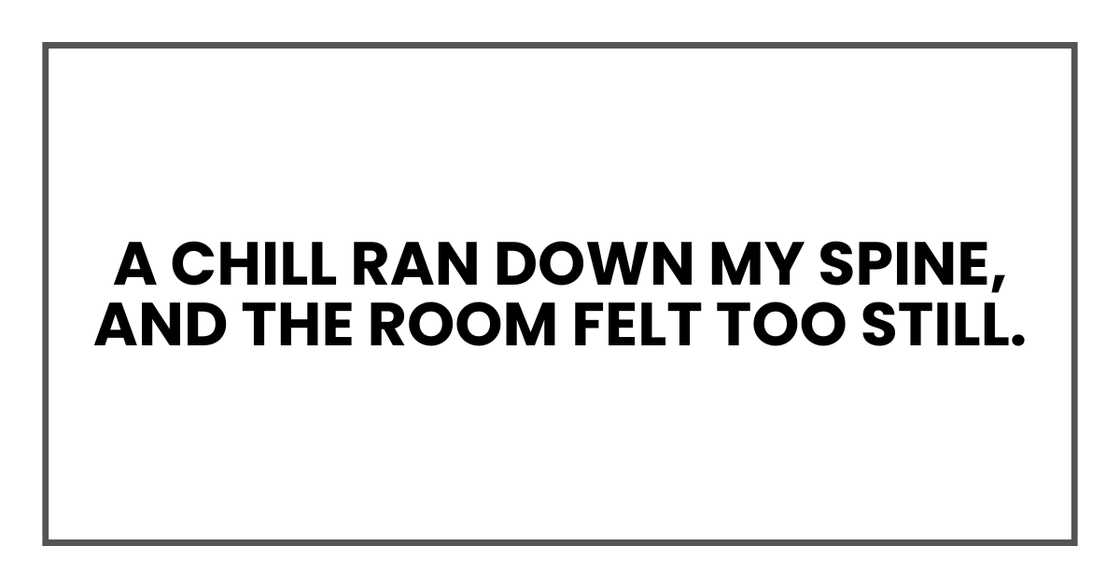A chill ran down my spine, and the room felt too still. A chill ran down my spine, and the room felt too still.