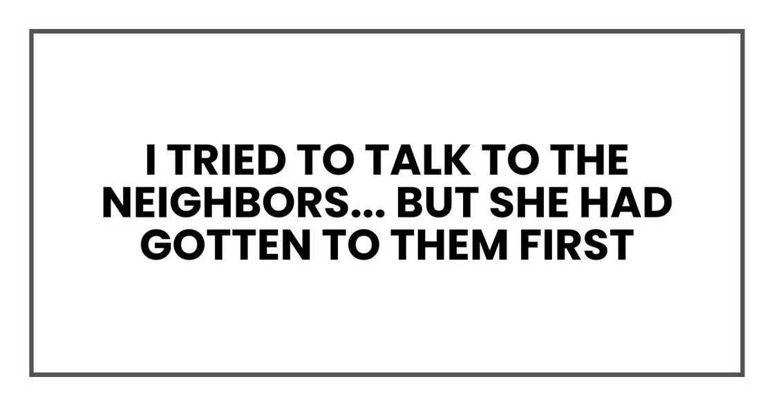 I tried to talk to the neighbors and explain what was happening, but she had gotten to them first I tried to talk to the neighbors and explain what was happening, but she had gotten to them first