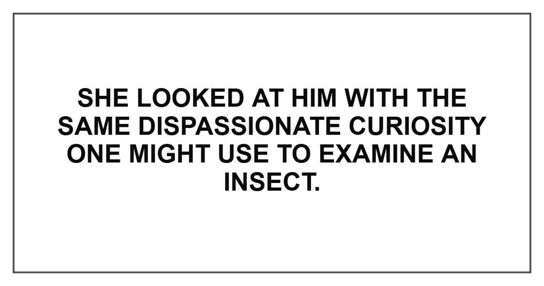 She looked at him with the same dispassionate curiosity one might use to examine an insect. She looked at him with the same dispassionate curiosity one might use to examine an insect.