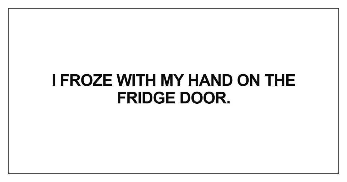 I froze with my hand on the fridge