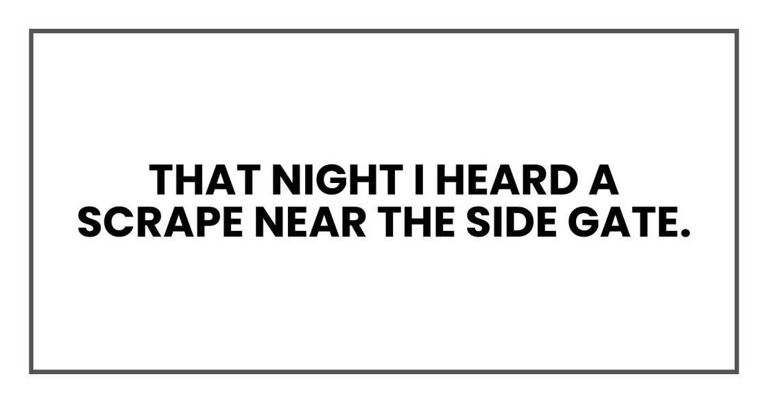 That night I heard a scrape near the side gate. That night I heard a scrape near the side gate.