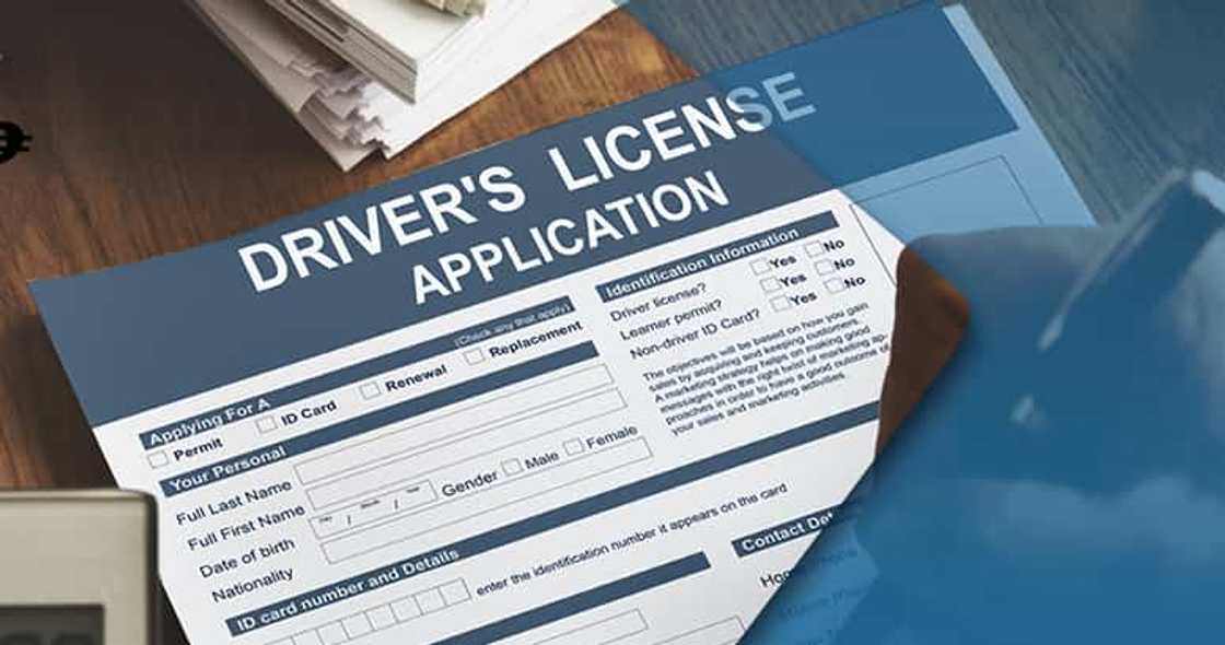 Driver’s license requirements Driver’s license requirements