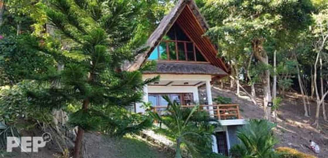 Sobrang yaman talaga! Willie Revillame, bumili ng mala-Amanpulo beach resort sa Puerto Galera Sobrang yaman talaga! Willie Revillame, bumili ng mala-Amanpulo beach resort sa Puerto Galera