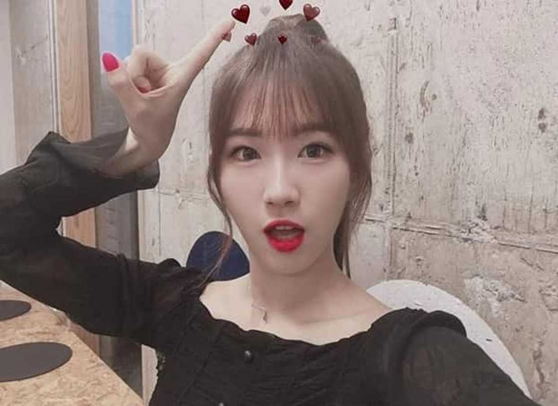 Hashtag members height Hashtag members height