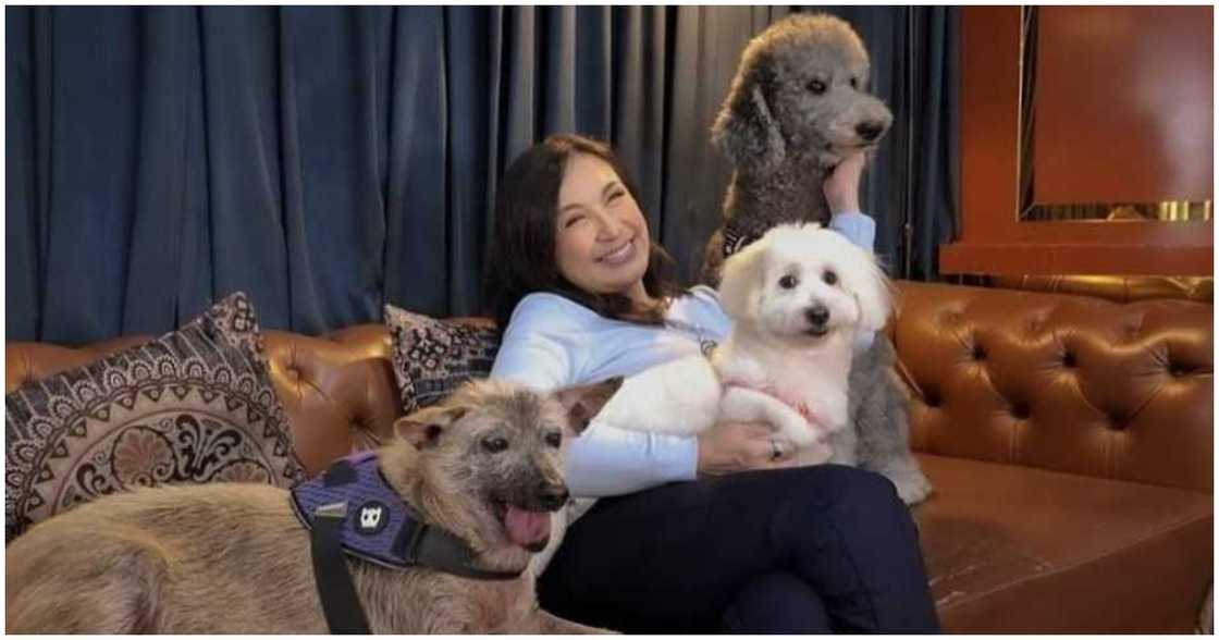 Sharon Cuneta reflects on her 9-year weight loss journey: "Nakakaiyak, nakakagutom" Sharon Cuneta reflects on her 9-year weight loss journey: "Nakakaiyak, nakakagutom"
