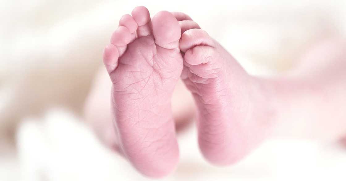 Baby Pixabay Baby Pixabay