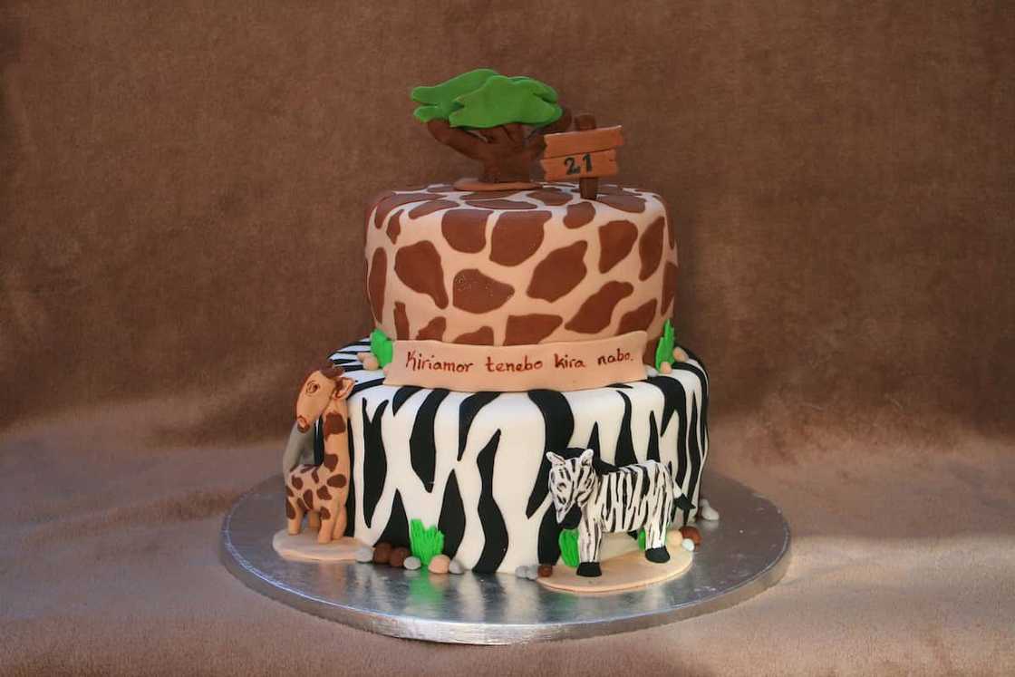 Safari cake design Safari cake design