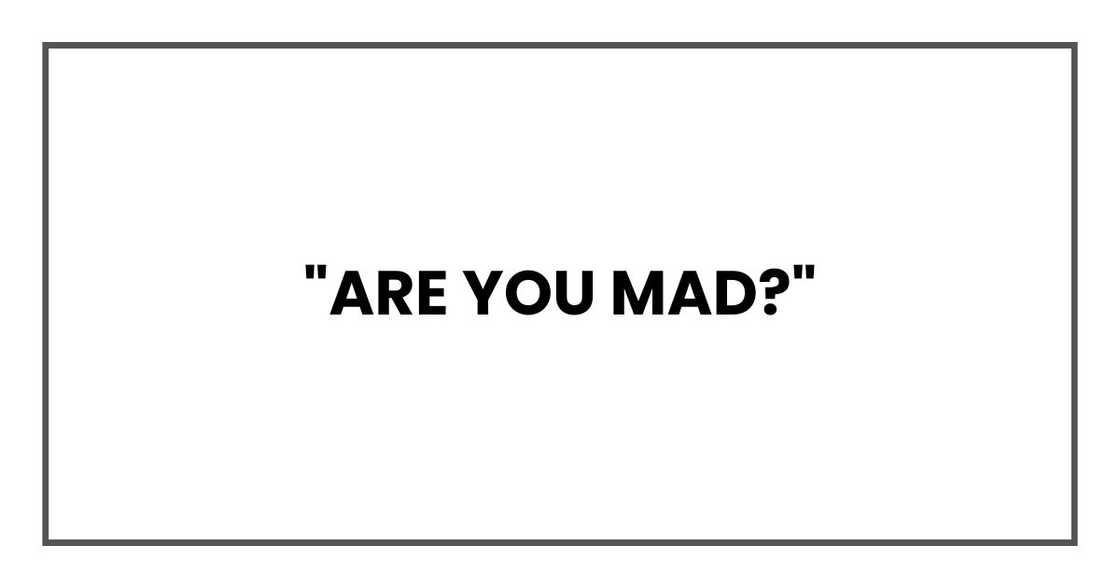 "Are you mad?"
