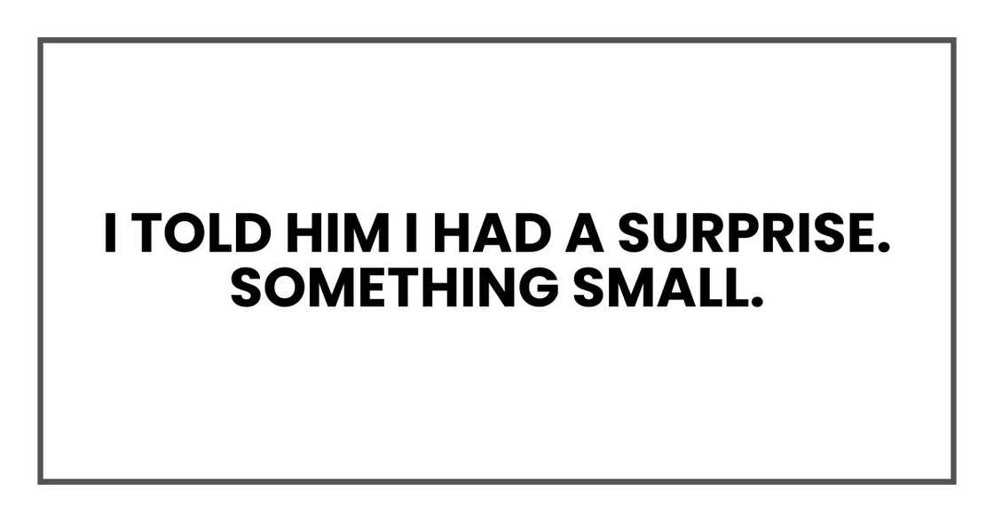 I told him I had a surprise. Something small. I told him I had a surprise. Something small.