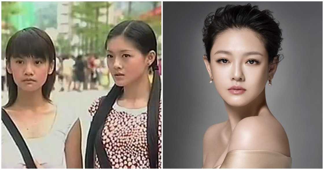 Rainie Yang pens a heartfelt note for Barbie Hsu amid her passing Rainie Yang pens a heartfelt note for Barbie Hsu amid her passing