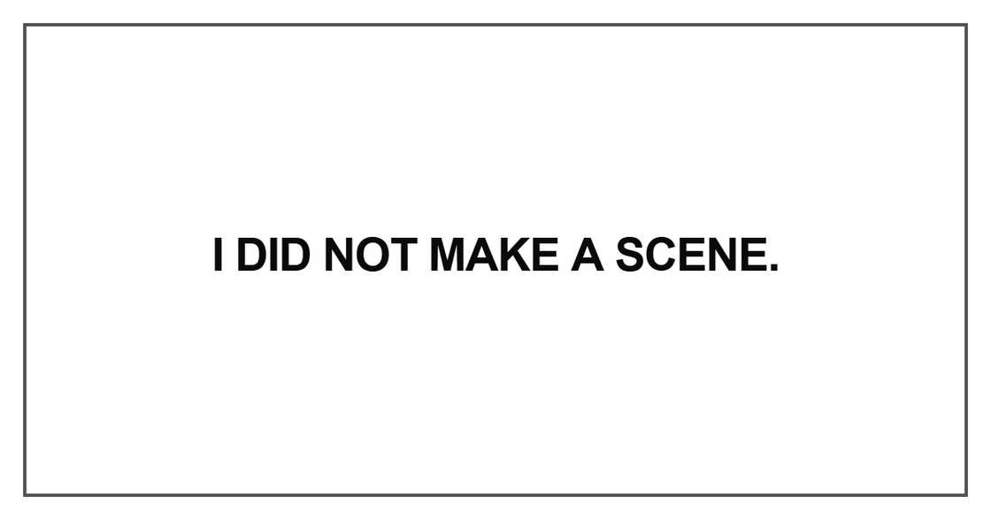 I did not make a scene