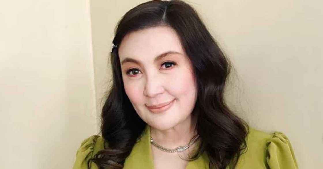 Sharon Cuneta’s post showing her “bayong” caught netizens’ attention