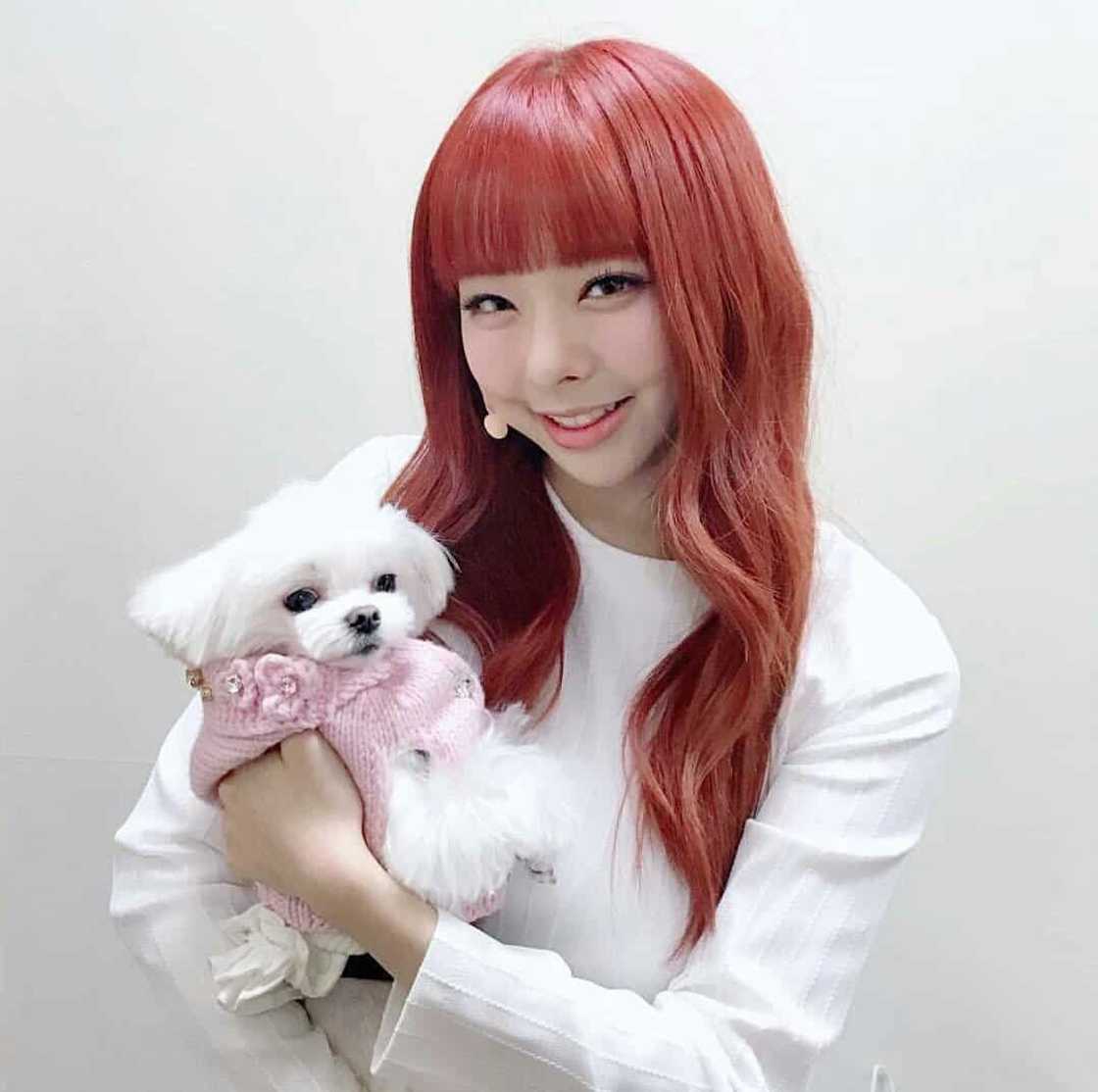 Loona songs Loona songs