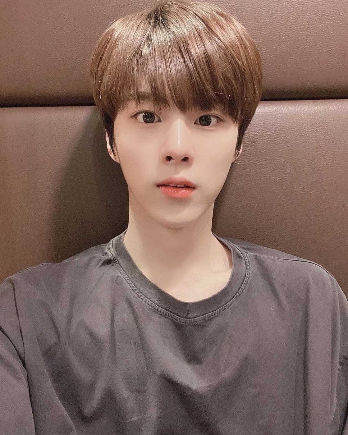 x1 profile members x1 profile members