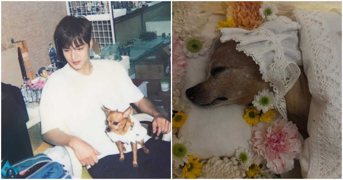 Lee Min Ho Lee Min Ho