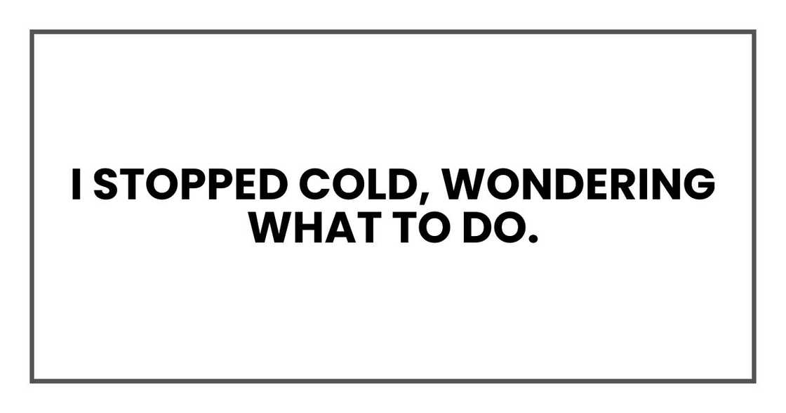 I stopped cold, wondering what to do. I stopped cold, wondering what to do.