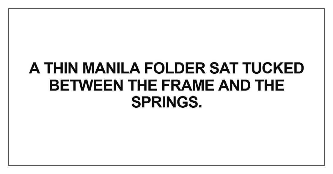 A thin manila folder sat tucked
