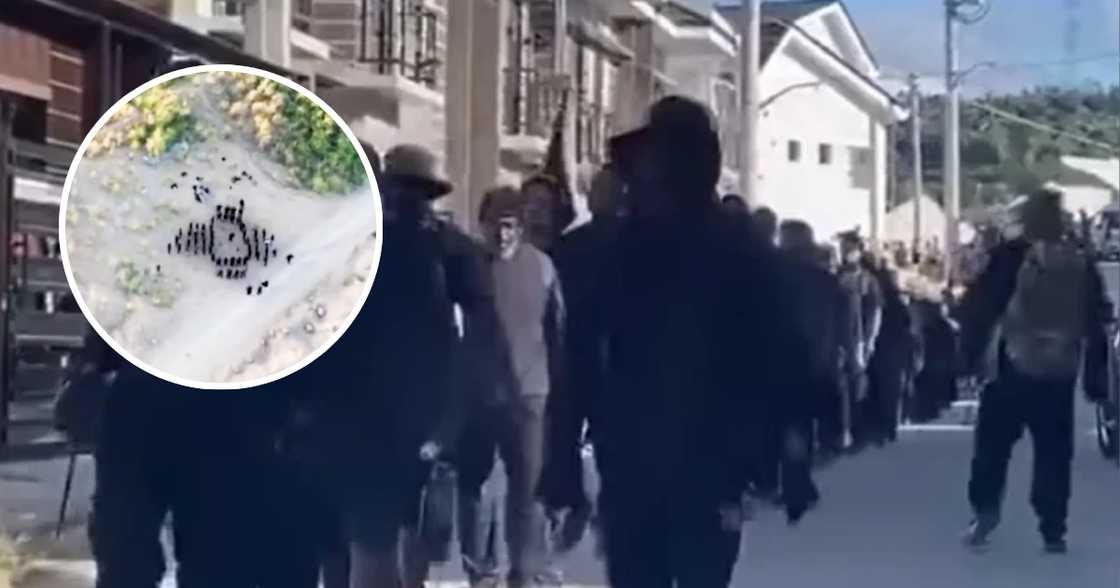 Mga taga-Minglanilla, Cebu, nabahala sa martsa ng mga nakaitim na Foreigners Mga taga-Minglanilla, Cebu, nabahala sa martsa ng mga nakaitim na Foreigners