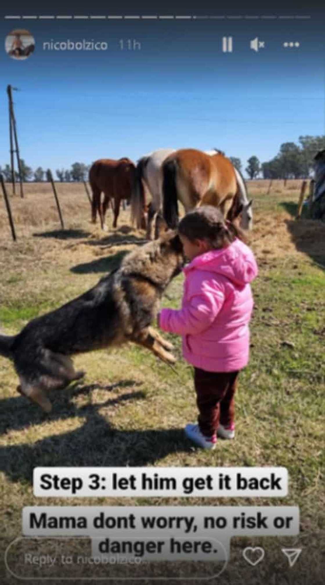 Nico Bolzico Nico Bolzico