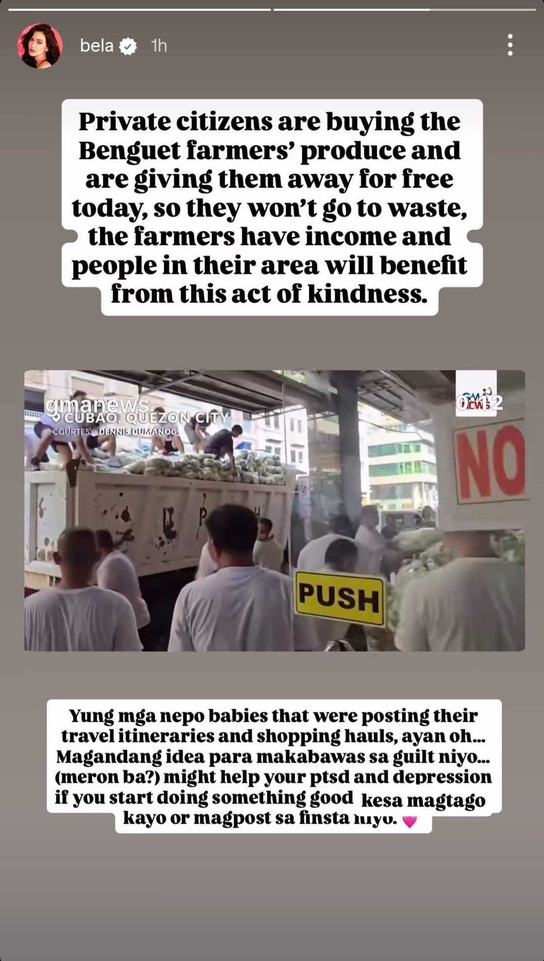 Bela Padilla praises private citizens for helping Benguet farmers; calls out 'nepo babies' Bela Padilla praises private citizens for helping Benguet farmers; calls out 'nepo babies'