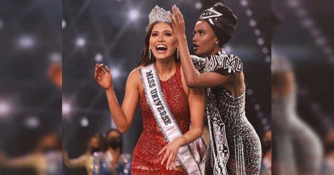 Old photo of Miss Universe Andrea Meza in a wedding shoot goes viral after coronation Old photo of Miss Universe Andrea Meza in a wedding shoot goes viral after coronation