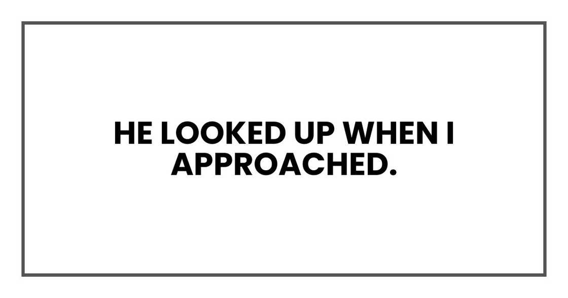 He looked up when I approached.