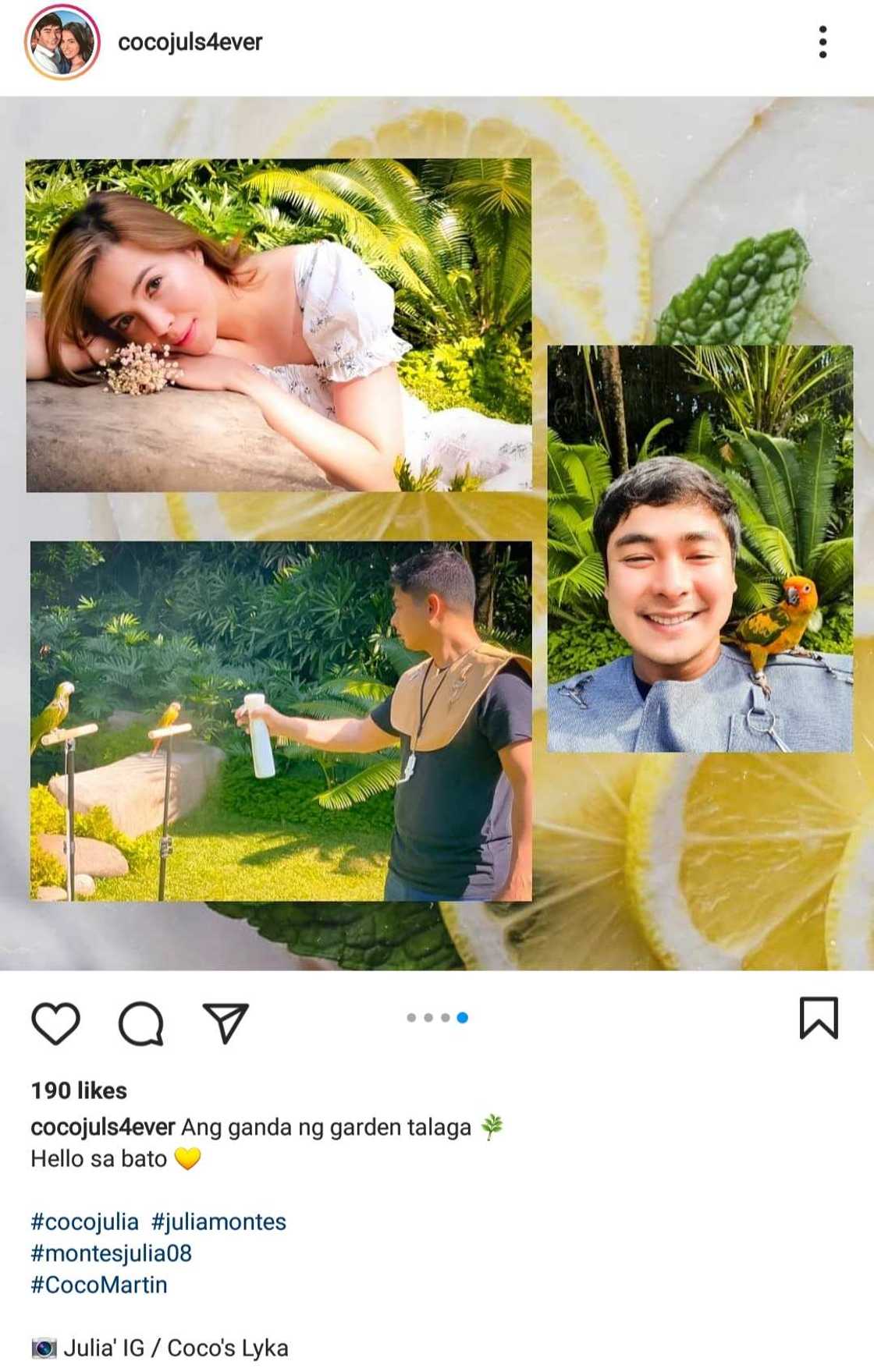 CocoJul fan account posts several similar garden photos of Julia Montes, Coco Martin CocoJul fan account posts several similar garden photos of Julia Montes, Coco Martin