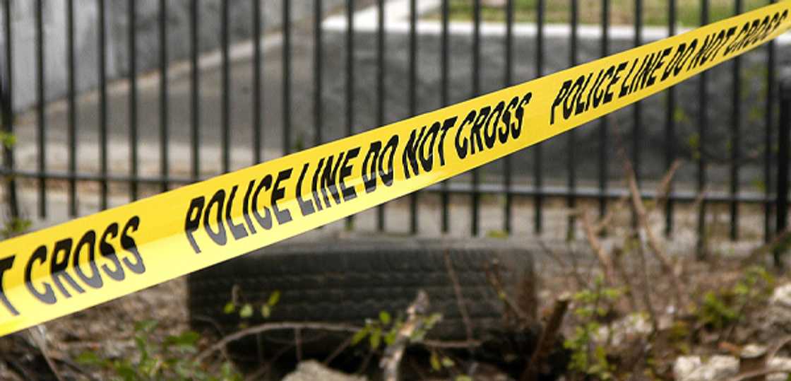 Photo: Pixabay Photo: Pixabay