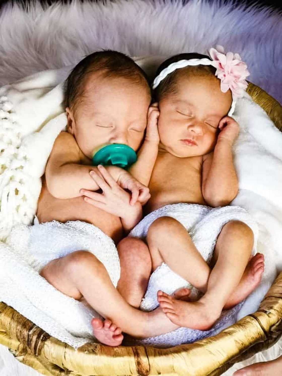 Possible cost of Korina Sanchez and Mar Roxas' IVF procedure to have twins gets revealed Possible cost of Korina Sanchez and Mar Roxas' IVF procedure to have twins gets revealed