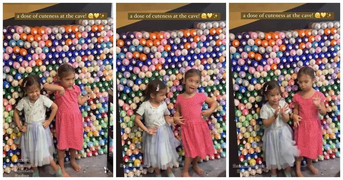 Video of Dahlia Amélie and Tili doing poses together goes viral on social media Video of Dahlia Amélie and Tili doing poses together goes viral on social media