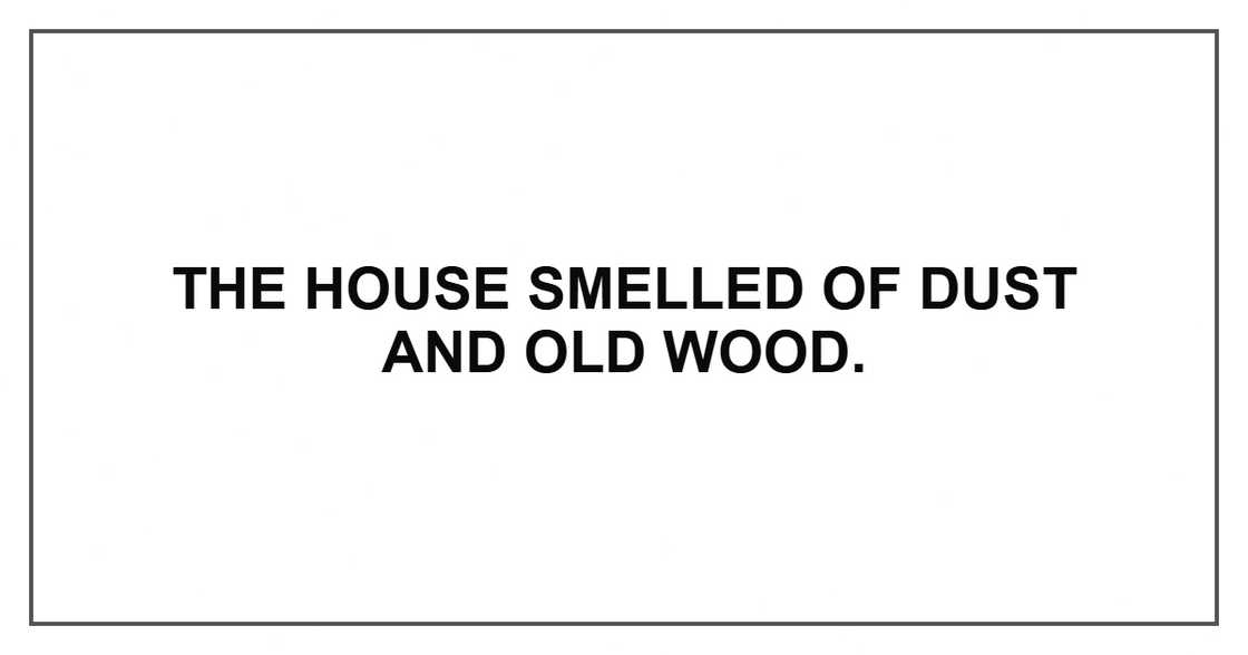The house smelled of dust and old wood. The house smelled of dust and old wood.