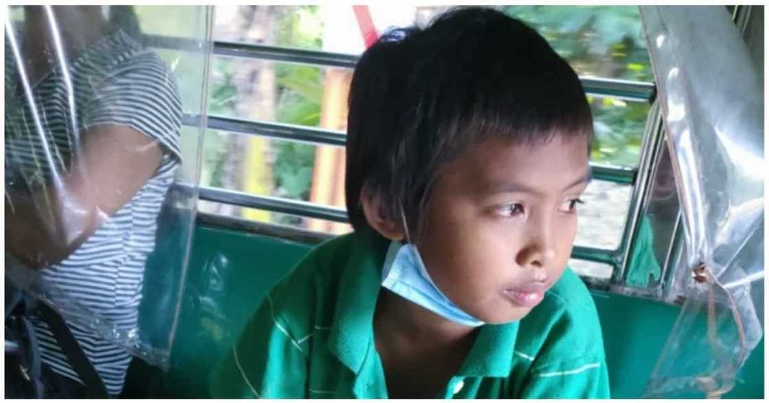 Masipag na batang naglalako ng mga halaman at gulay, umantig sa puso ng netizens Masipag na batang naglalako ng mga halaman at gulay, umantig sa puso ng netizens