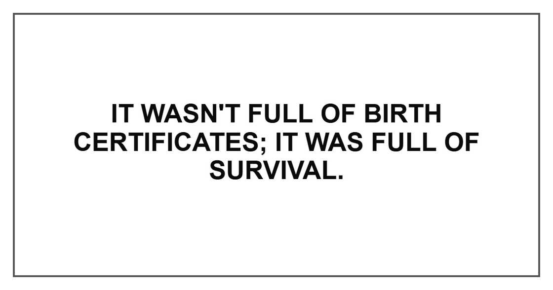 It wasn't full of birth certificates; it was full of survival. It wasn't full of birth certificates; it was full of survival.