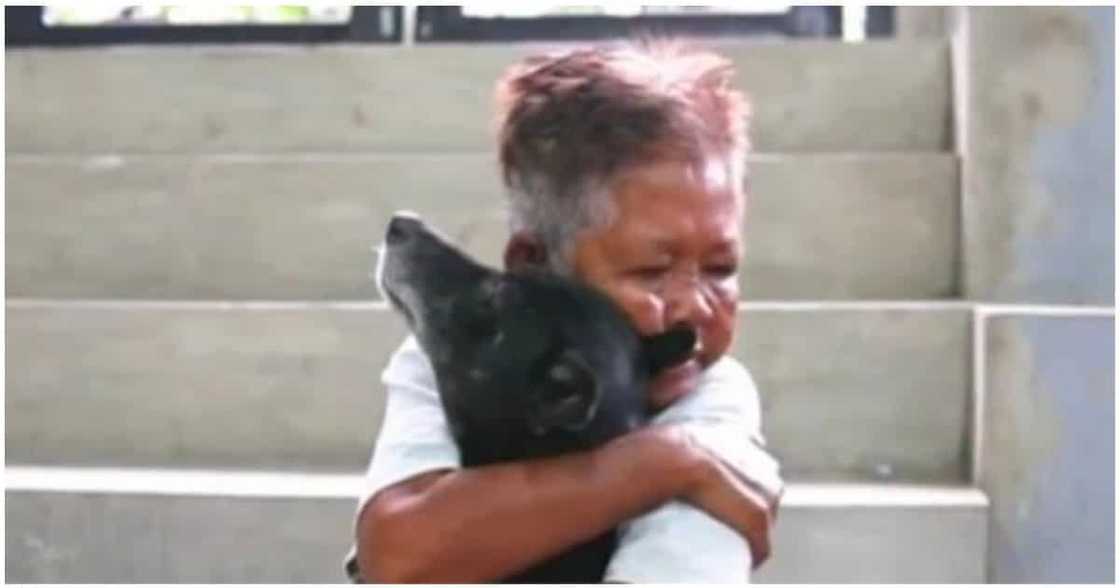 Lola na labis ang pag-iyak sa nabagansya niyang mga aso, muling nayakap ang mga alaga