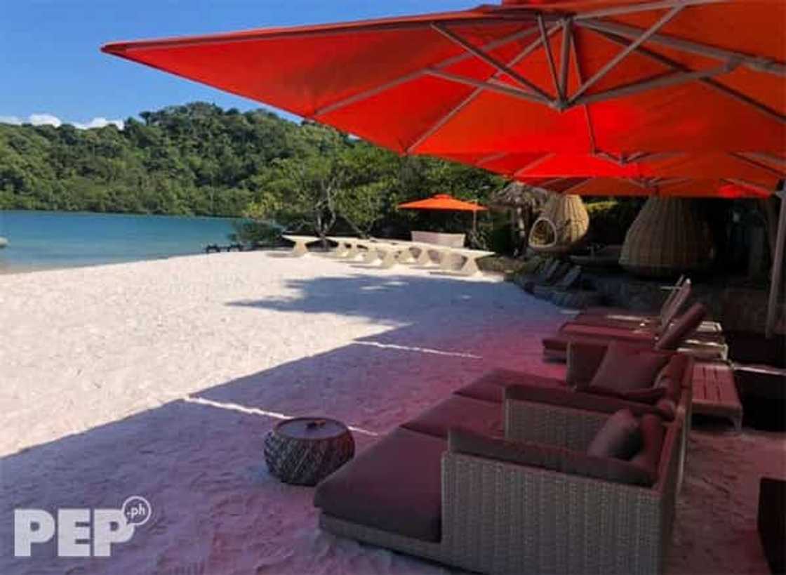 Sobrang yaman talaga! Willie Revillame, bumili ng mala-Amanpulo beach resort sa Puerto Galera Sobrang yaman talaga! Willie Revillame, bumili ng mala-Amanpulo beach resort sa Puerto Galera
