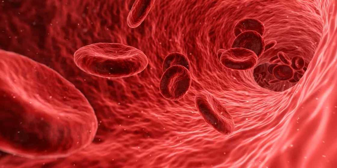 Blood type compatibility Blood type compatibility