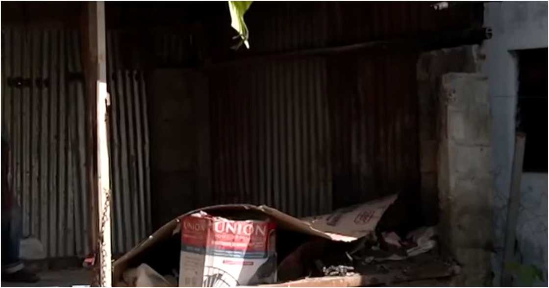 Balitanghali/GMA-7/GMA Integrated News on YouTube