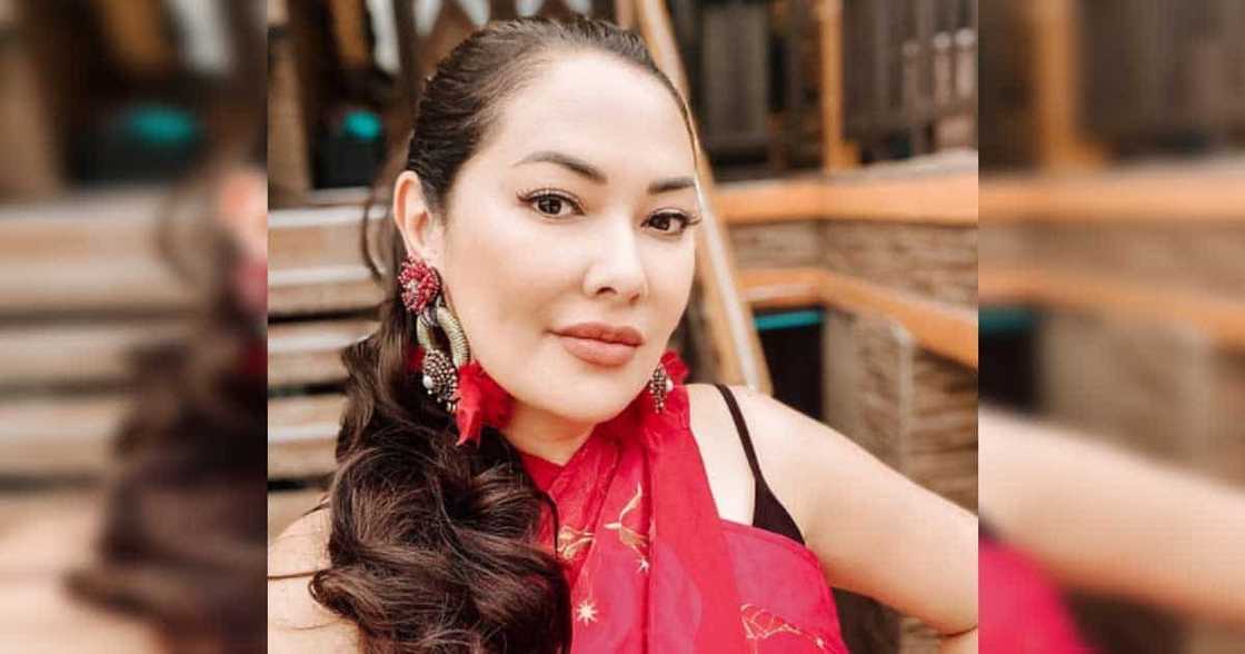 Ruffa Gutierrez’s daring photo gains praises from netizens Ruffa Gutierrez’s daring photo gains praises from netizens