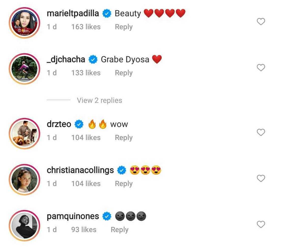 Mariel Padilla, other celebs gush over Bea Alonzo's stunning pictures Mariel Padilla, other celebs gush over Bea Alonzo's stunning pictures