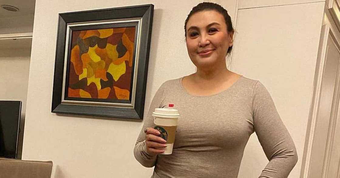 Sharon Cuneta, nagtitinda ng balut binigyan ng ayuda: Megastar, umani ng papuri Sharon Cuneta, nagtitinda ng balut binigyan ng ayuda: Megastar, umani ng papuri