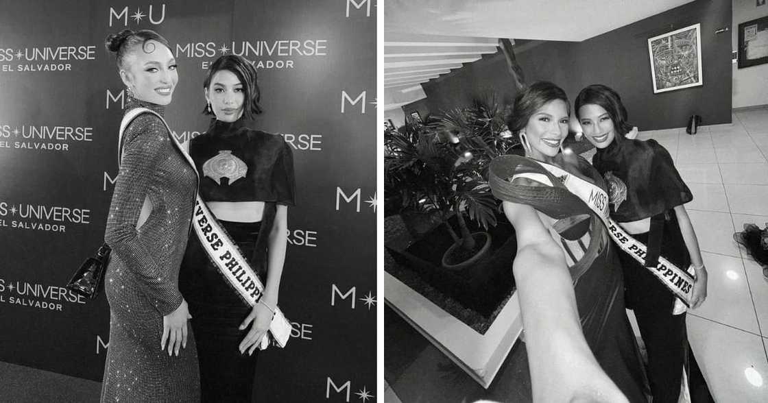 Michelle Dee wows netizens with her look for welcome dinner for Miss Universe 2023 delegates Michelle Dee wows netizens with her look for welcome dinner for Miss Universe 2023 delegates
