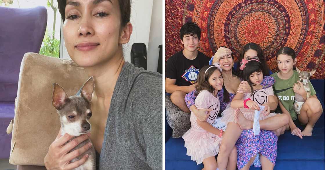 Ina Raymundo, nagluluksa sa pagpanaw ng alagang asong si Cyan (@inaraymundo95) Ina Raymundo, nagluluksa sa pagpanaw ng alagang asong si Cyan (@inaraymundo95)