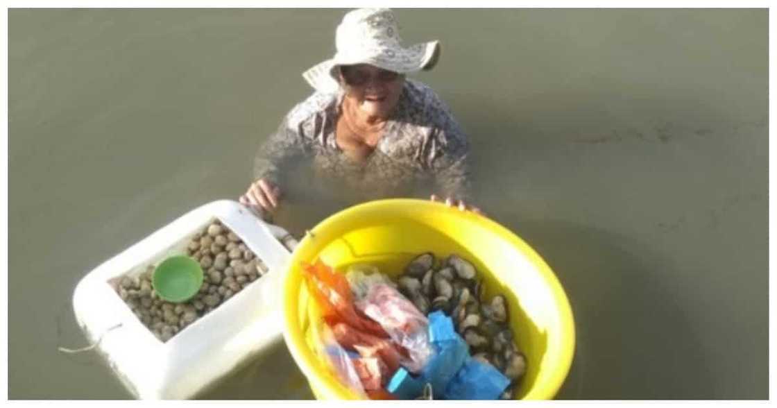 85-anyos na ina, babad sa dagat araw-araw para lang may ipakain sa anak na PWD 85-anyos na ina, babad sa dagat araw-araw para lang may ipakain sa anak na PWD