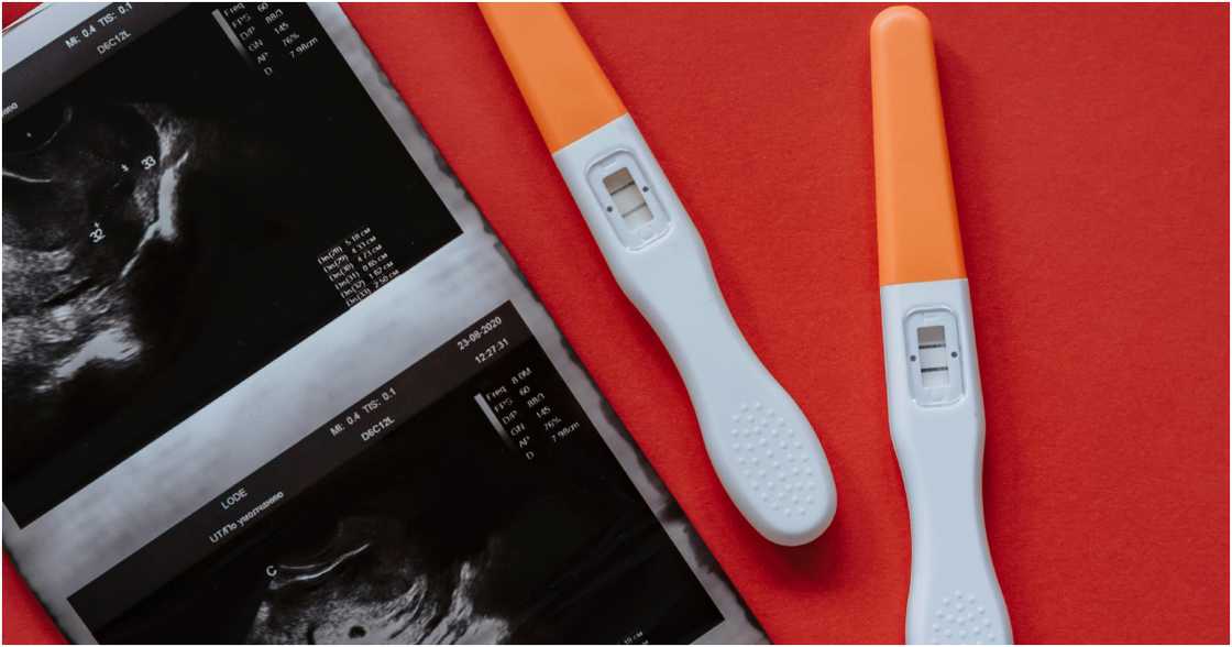 olia danilevich on Pexels olia danilevich on Pexels