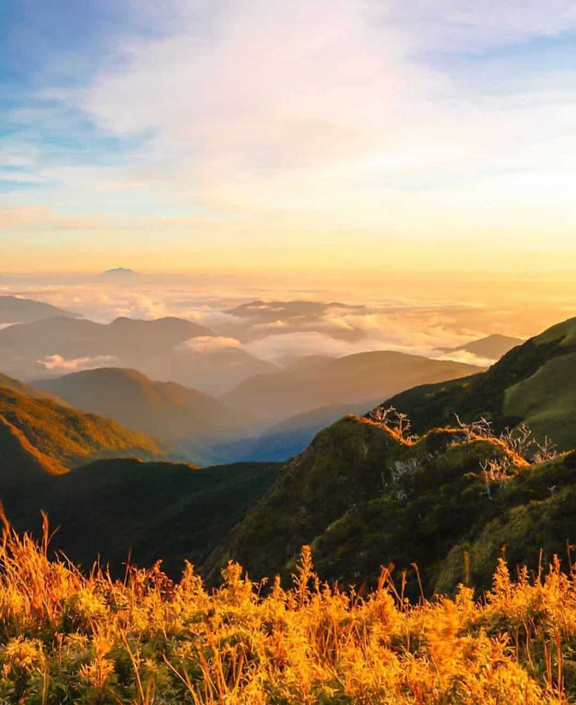 Mt. Pulag Mt. Pulag