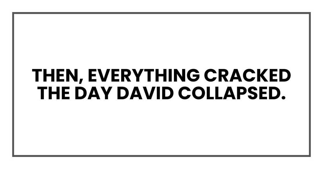 Then, everything cracked the day David collapsed. Then, everything cracked the day David collapsed.