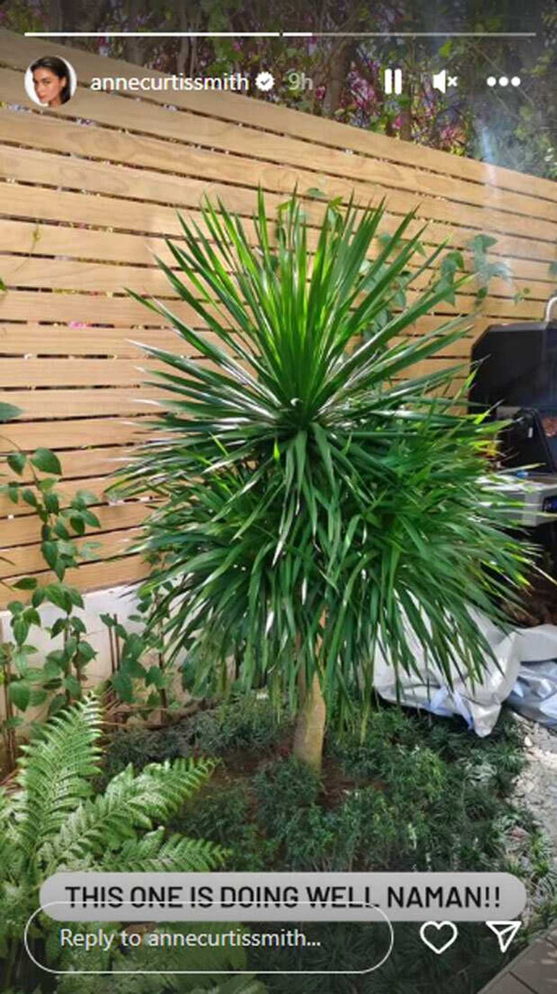 Anne Curtis Anne Curtis